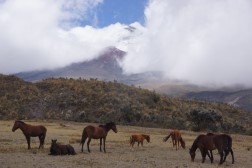 DSC07154 (Benutzerdefiniert)