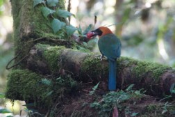 DSC07283 (Benutzerdefiniert)