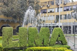 IMG_20241020_111402~2 (Benutzerdefiniert)