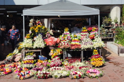 IMG_20241101_091721_1730508874289-b (Benutzerdefiniert)