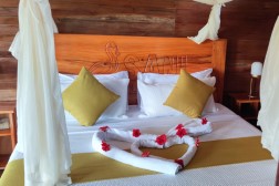 IMG_20241109_151504_1731198863326 (Benutzerdefiniert)