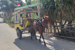 IMG_20250919_150930~2 (Benutzerdefiniert)