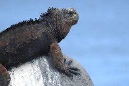 image-20241104-195709-849~2 (Benutzerdefiniert)